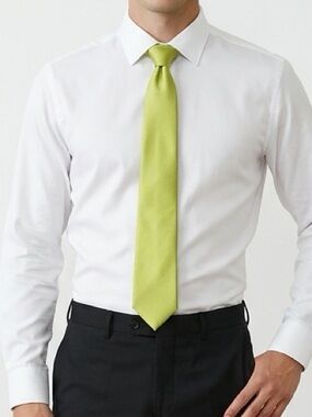 ✨Sophisticated Lime Green Georgio Mariani Men's Tie | Length 60”